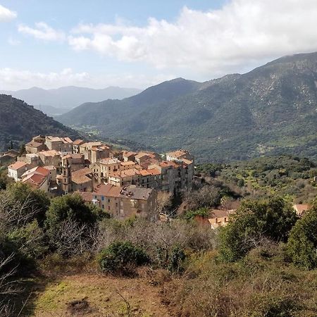 Santa-Lucia-di-Tallano Casa Corsaヴィラ エクステリア 写真